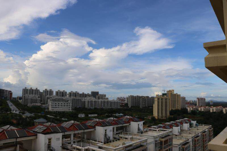 实景图