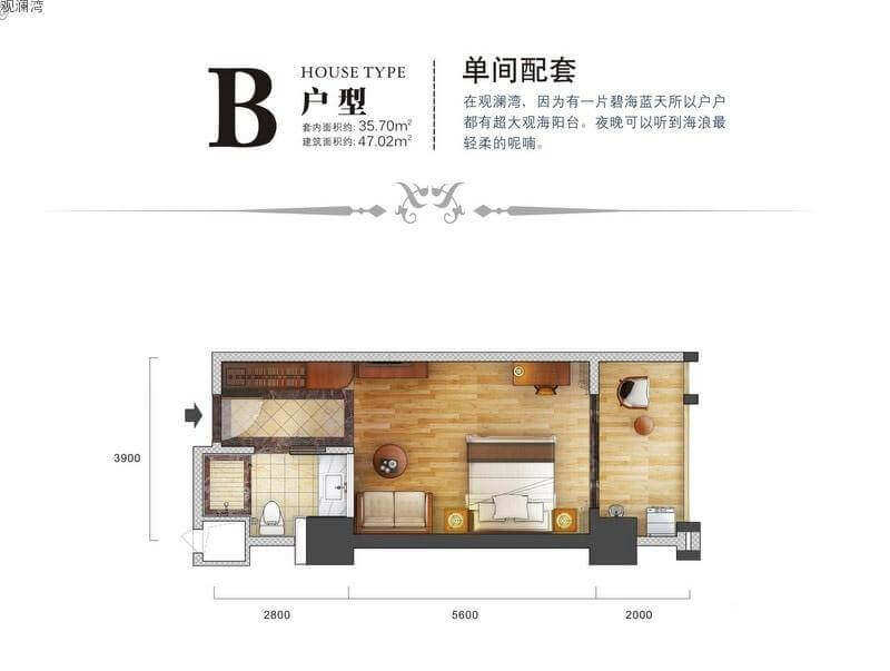B户型
