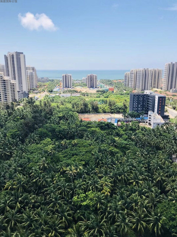 实景图