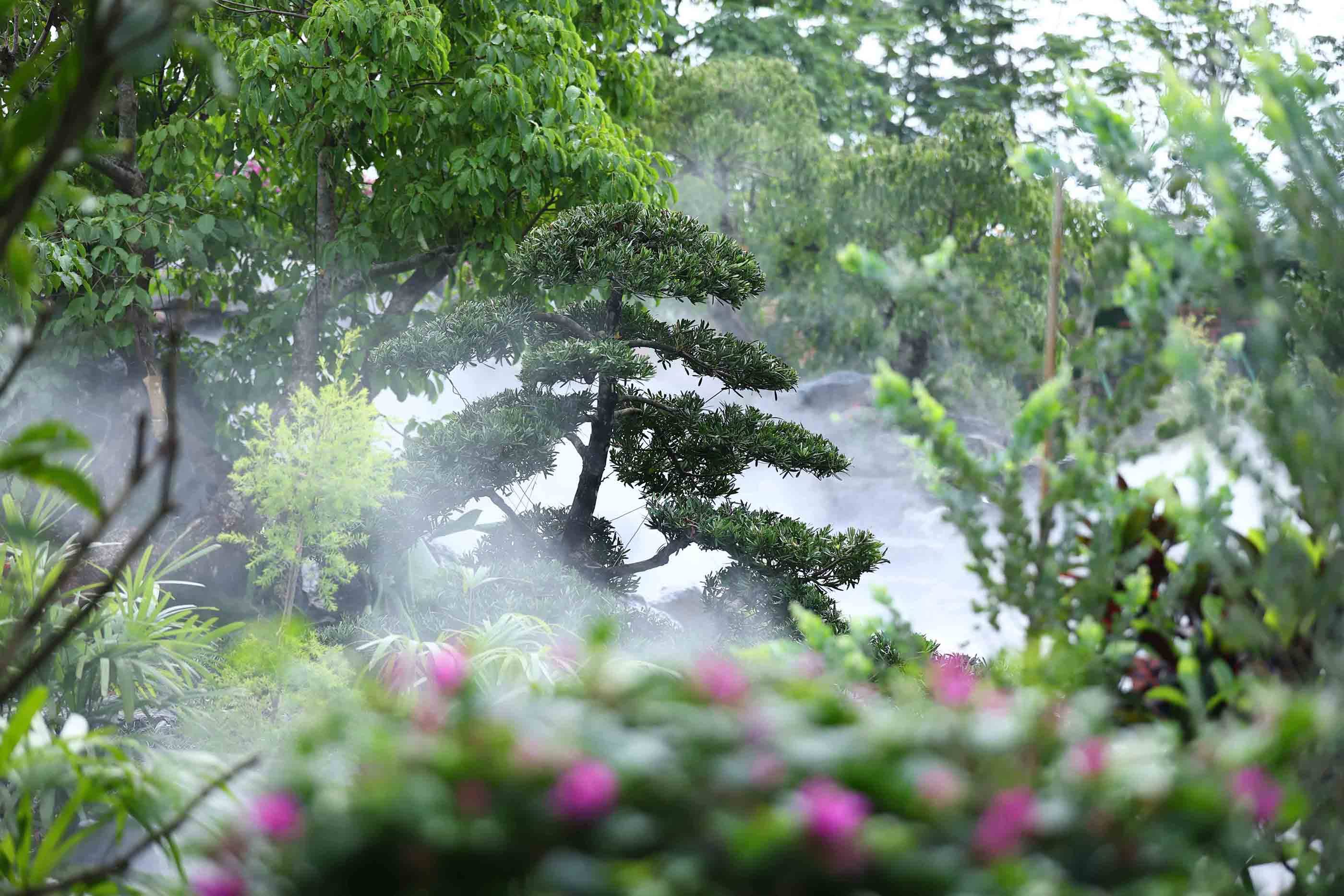 实景图