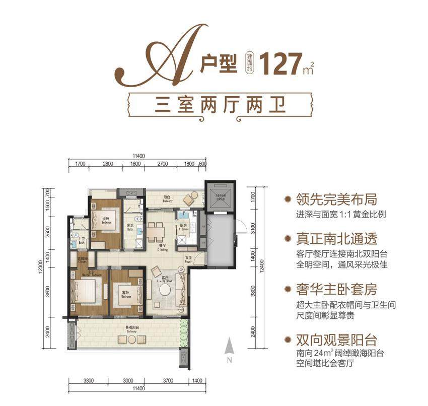 A户型