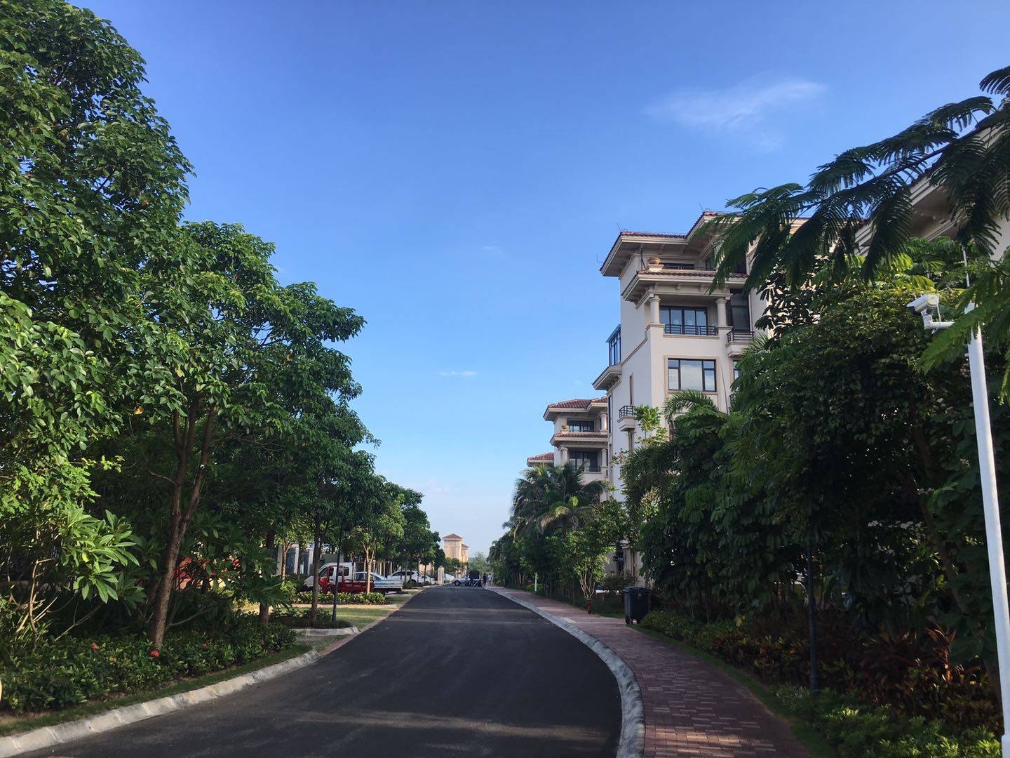 实景图