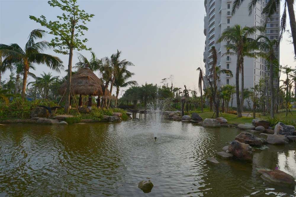 实景图