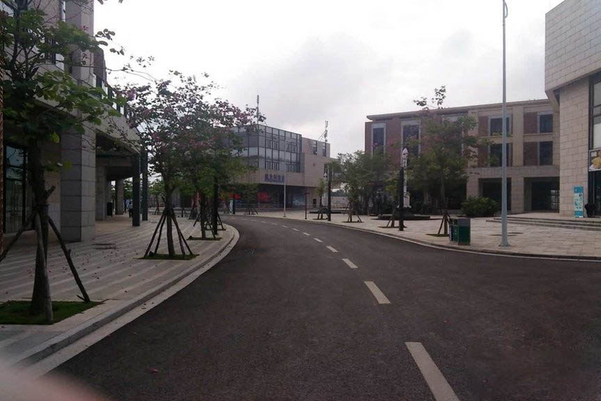实景图