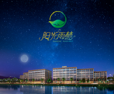 阳光雨林