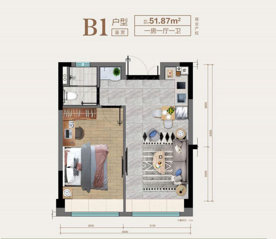 B1户型