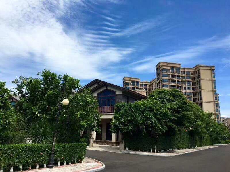 实景图