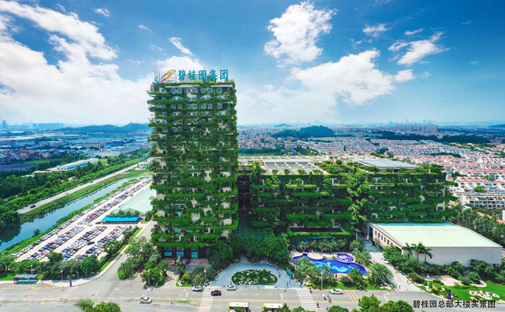 实景图