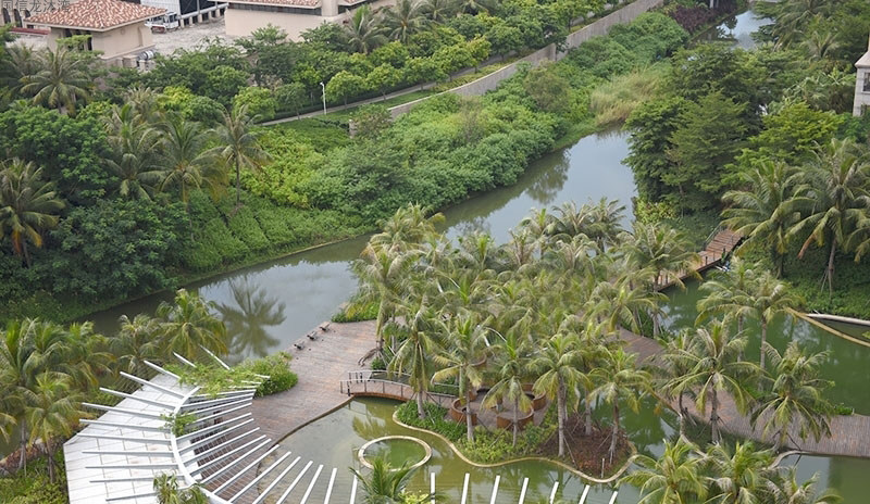 实景图