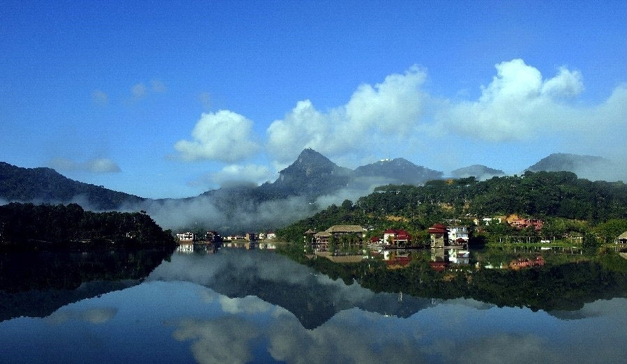实景图