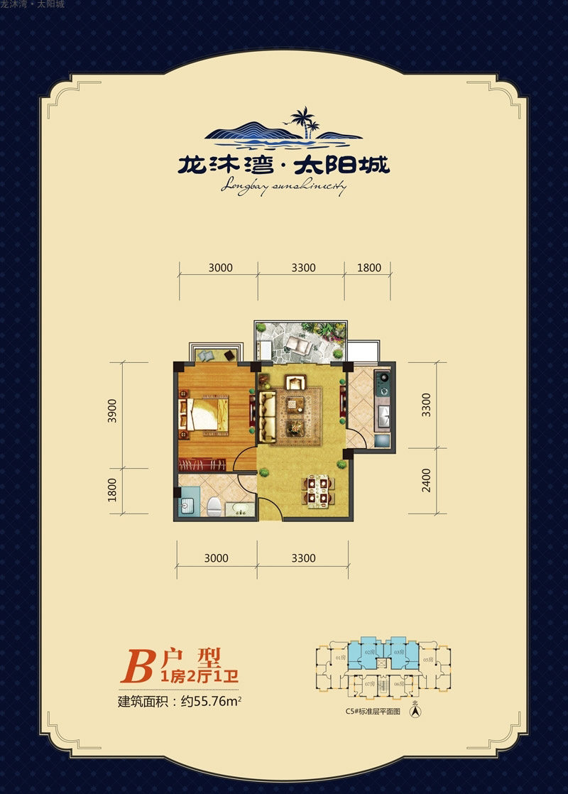 B户型