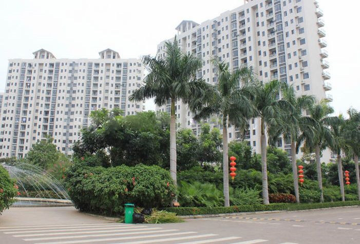 实景图