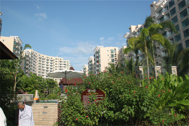 实景图