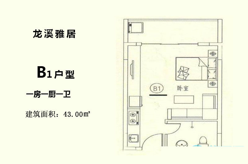 B1户型