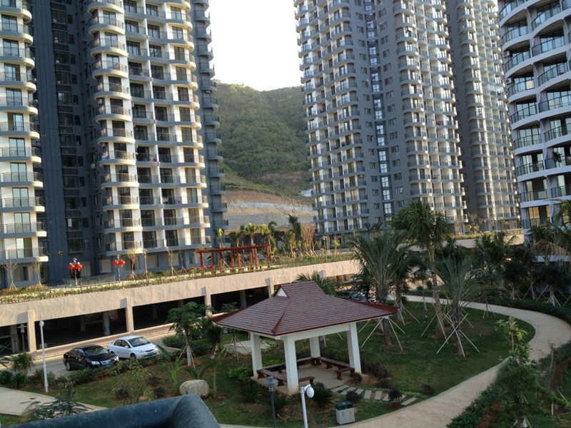 实景图