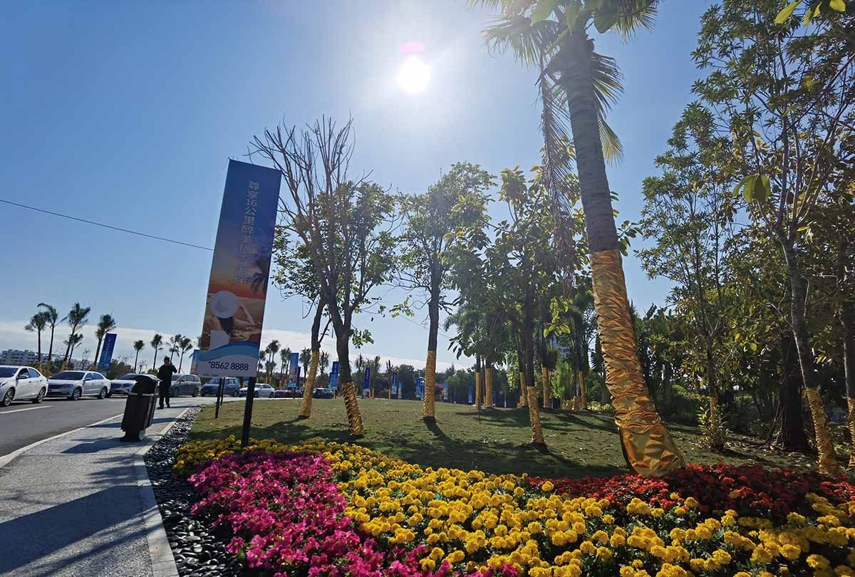 实景图