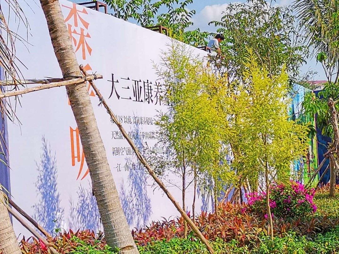实景图
