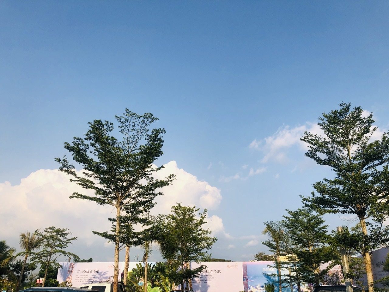 实景图