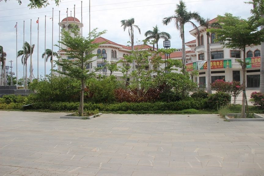 实景图