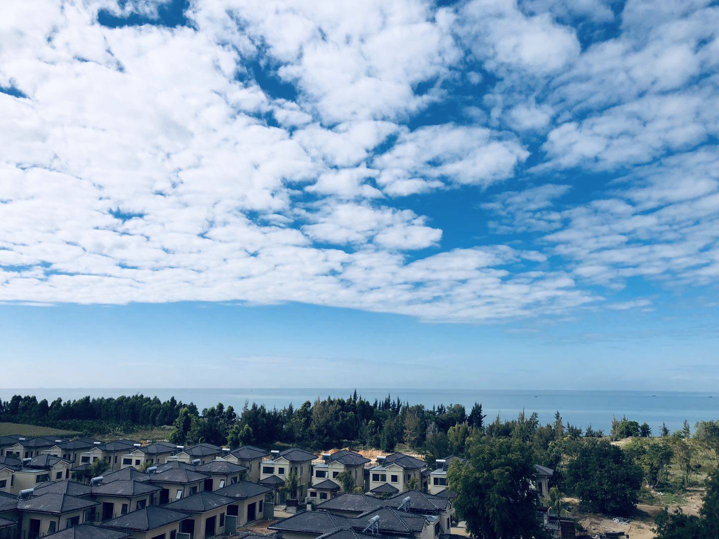 实景图