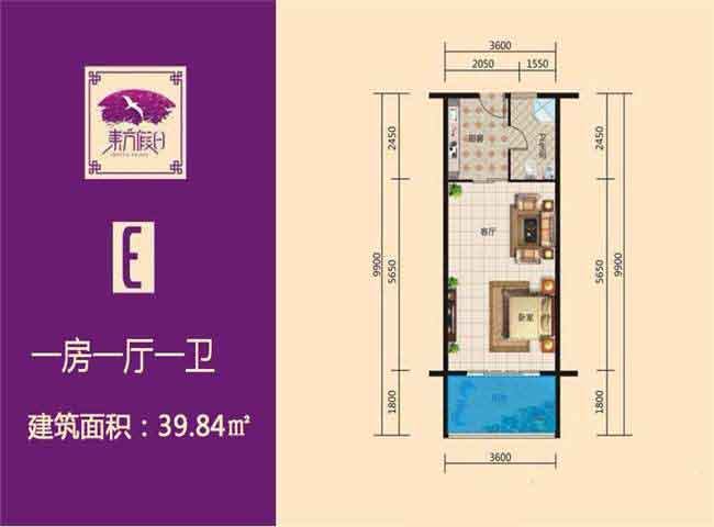 E户型