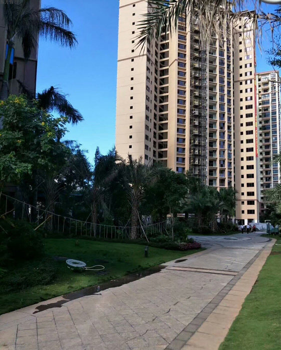 实景图