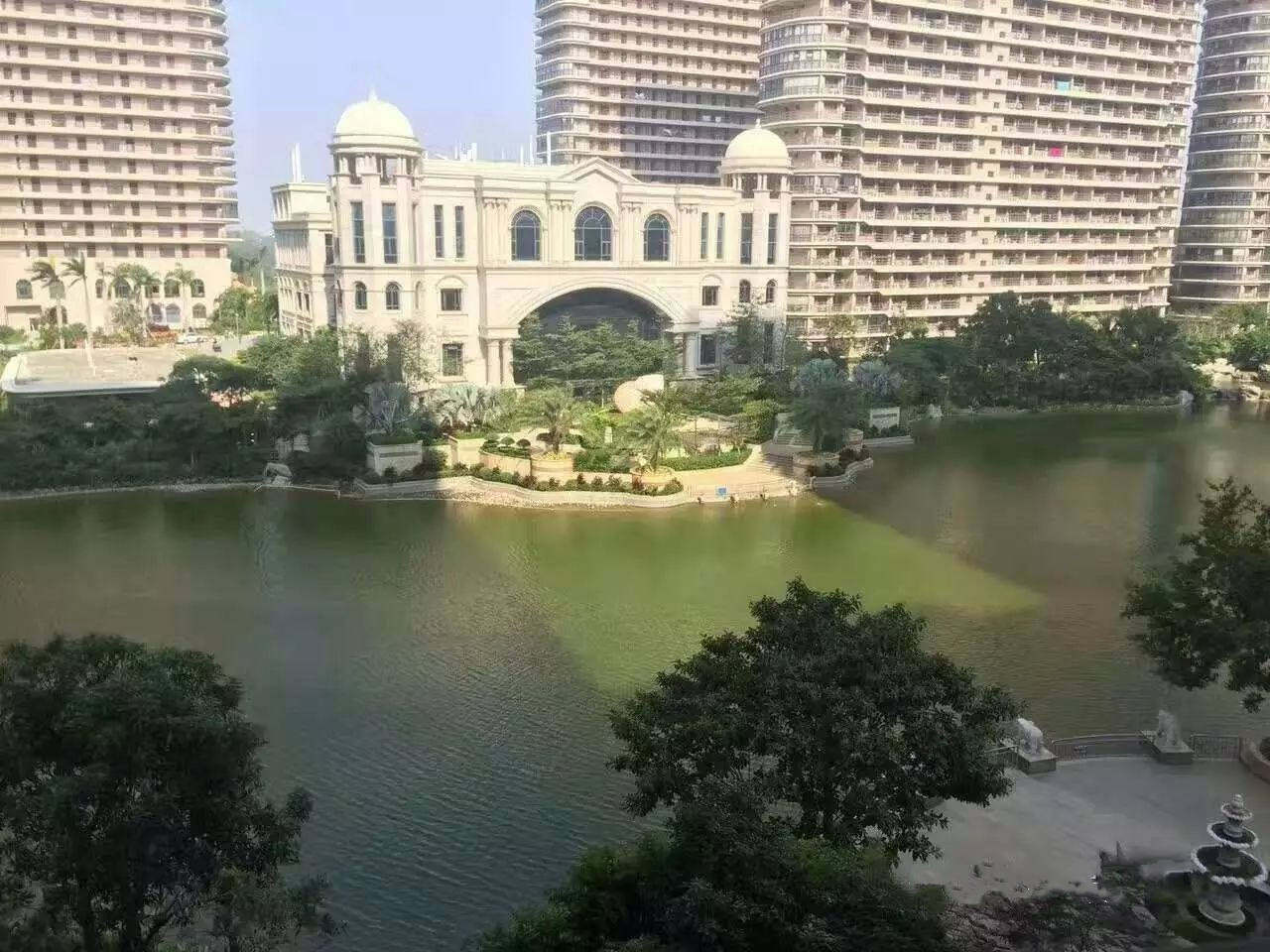 实景图