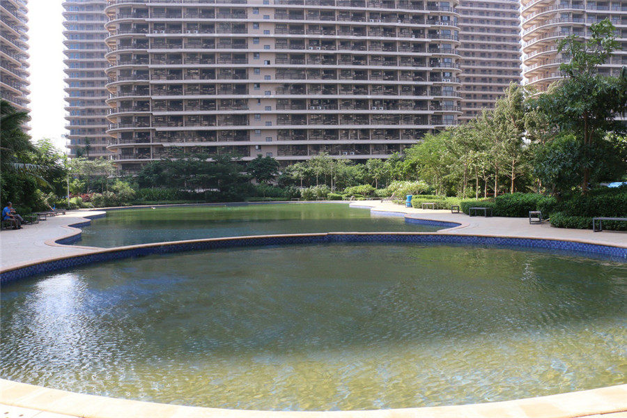 实景图