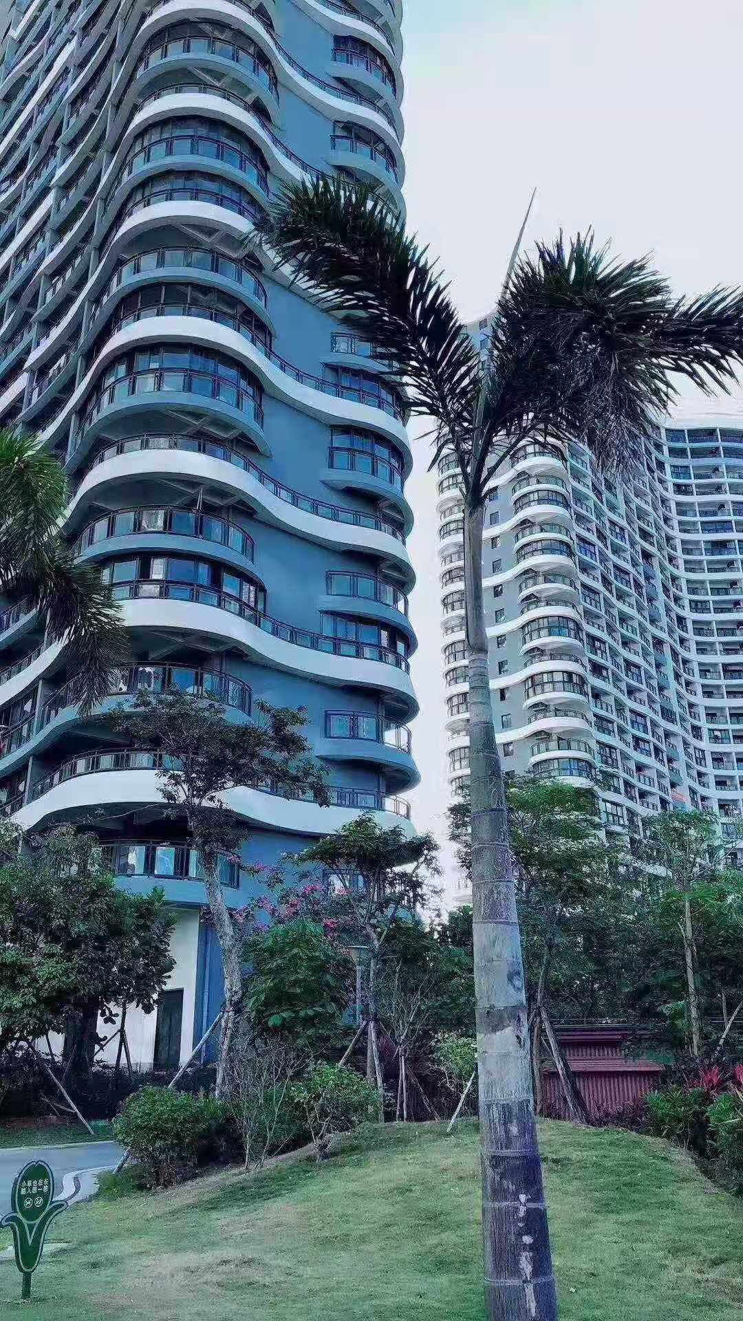 实景图