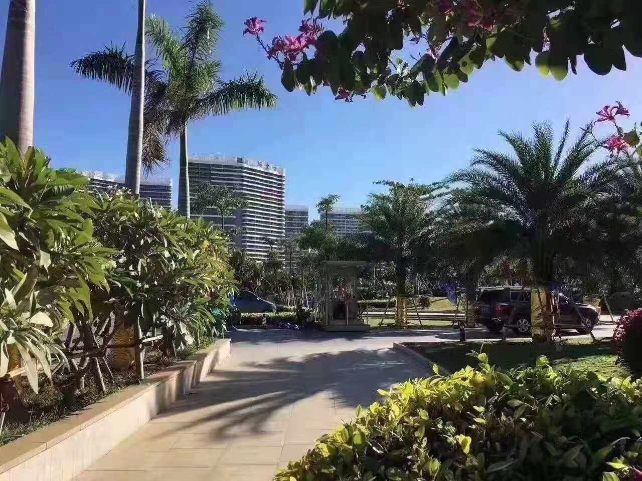 实景图