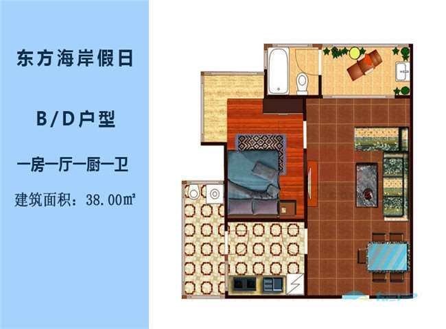 B、D户型