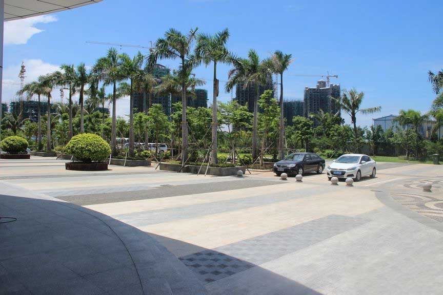 实景图