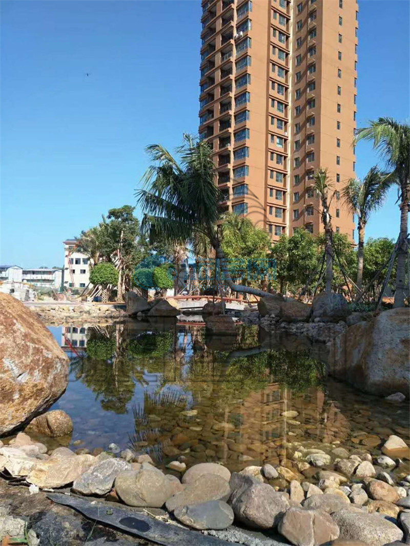 实景图