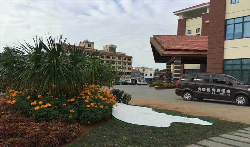 实景图
