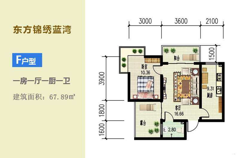 F户型