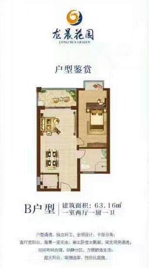 B户型