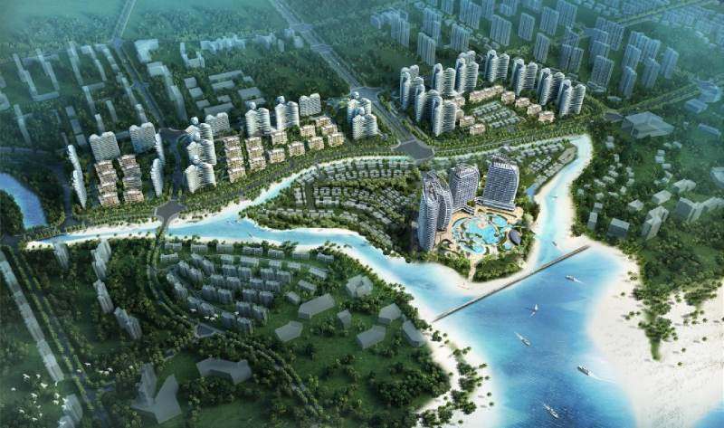 金泰阅云海
