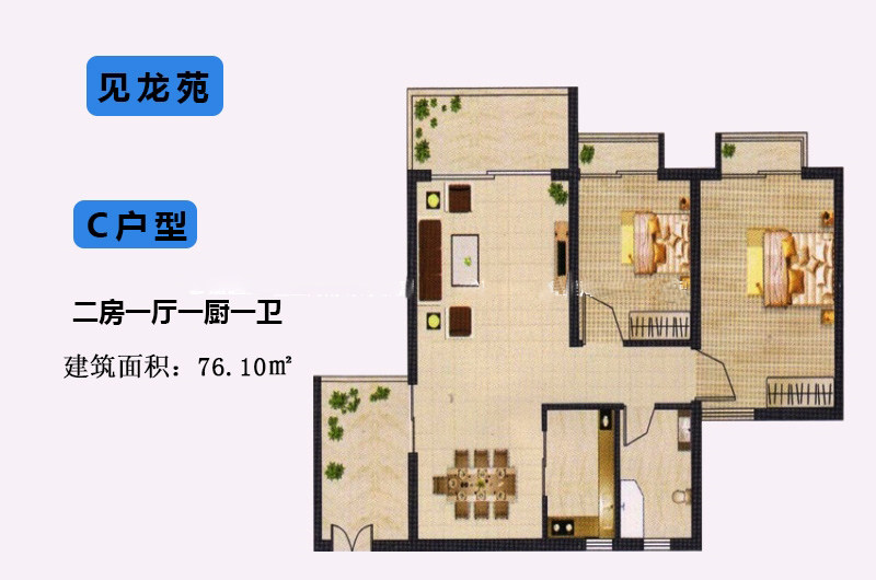 C户型
