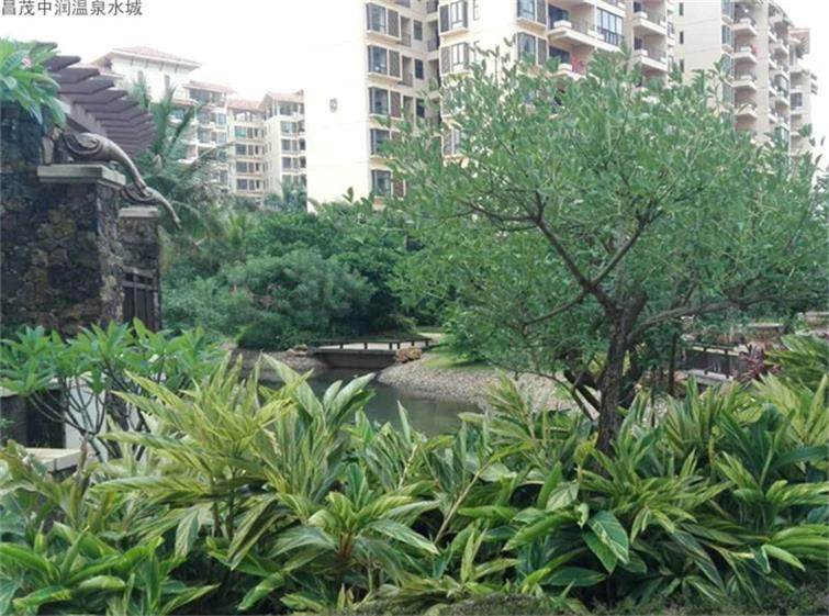 实景图