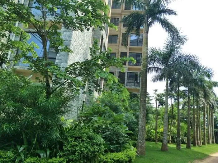 实景图