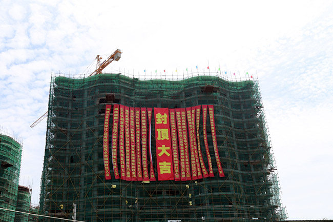 实景图