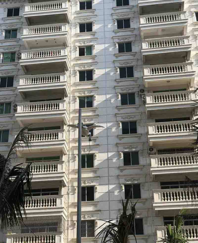 实景图
