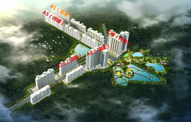 效果图