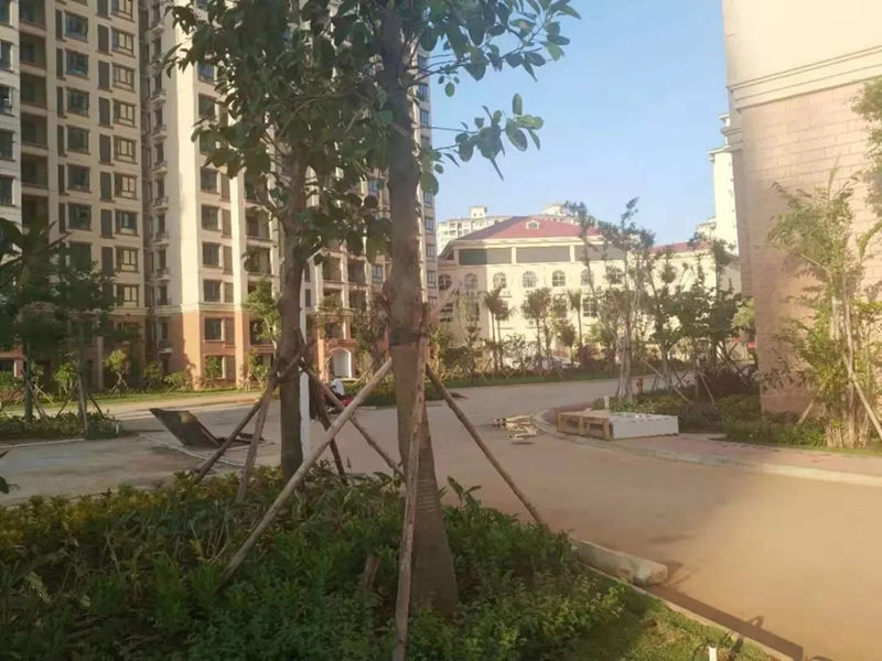 实景图