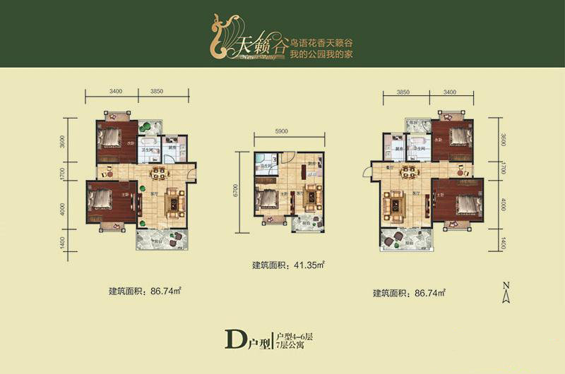 D户型4-6层