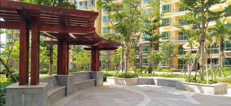 实景图