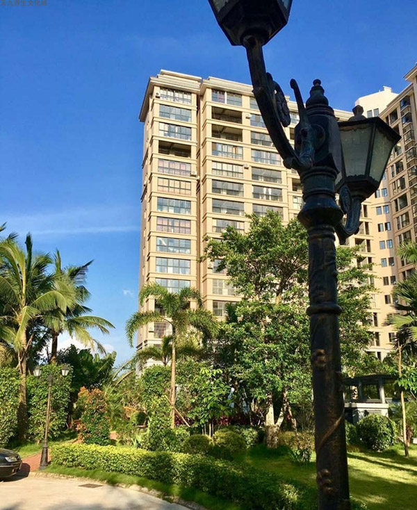 实景图