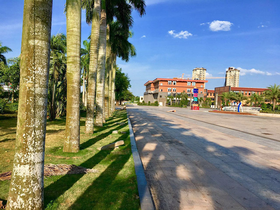 实景图