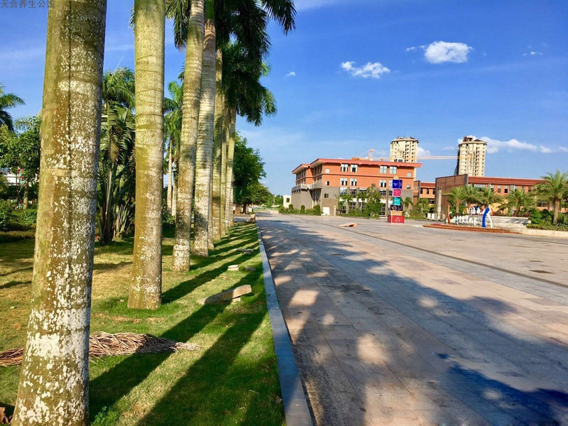 实景图