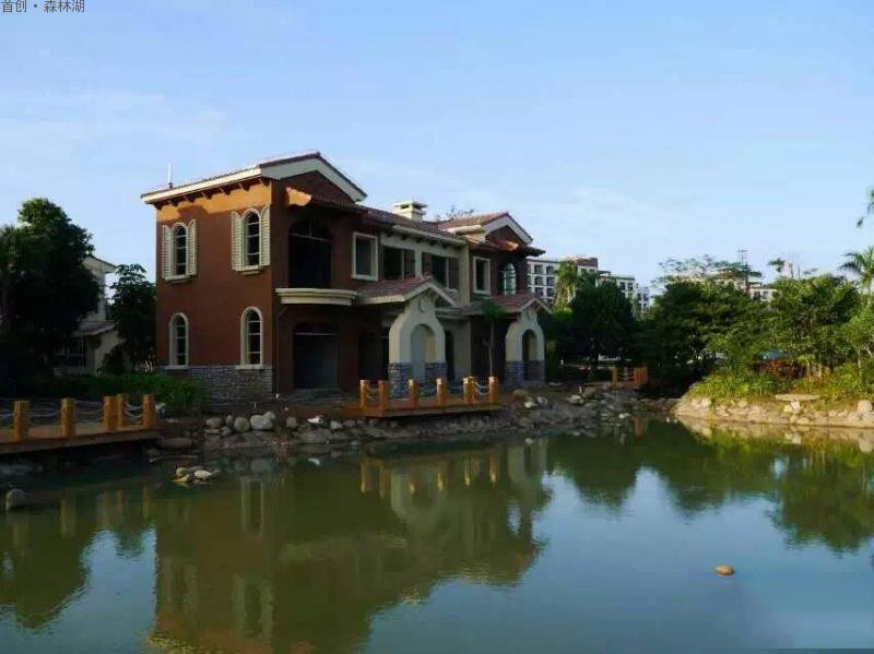 实景图
